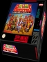 Nintendo  SNES&nbsp; - &nbsp;Stone Protectors (USA)